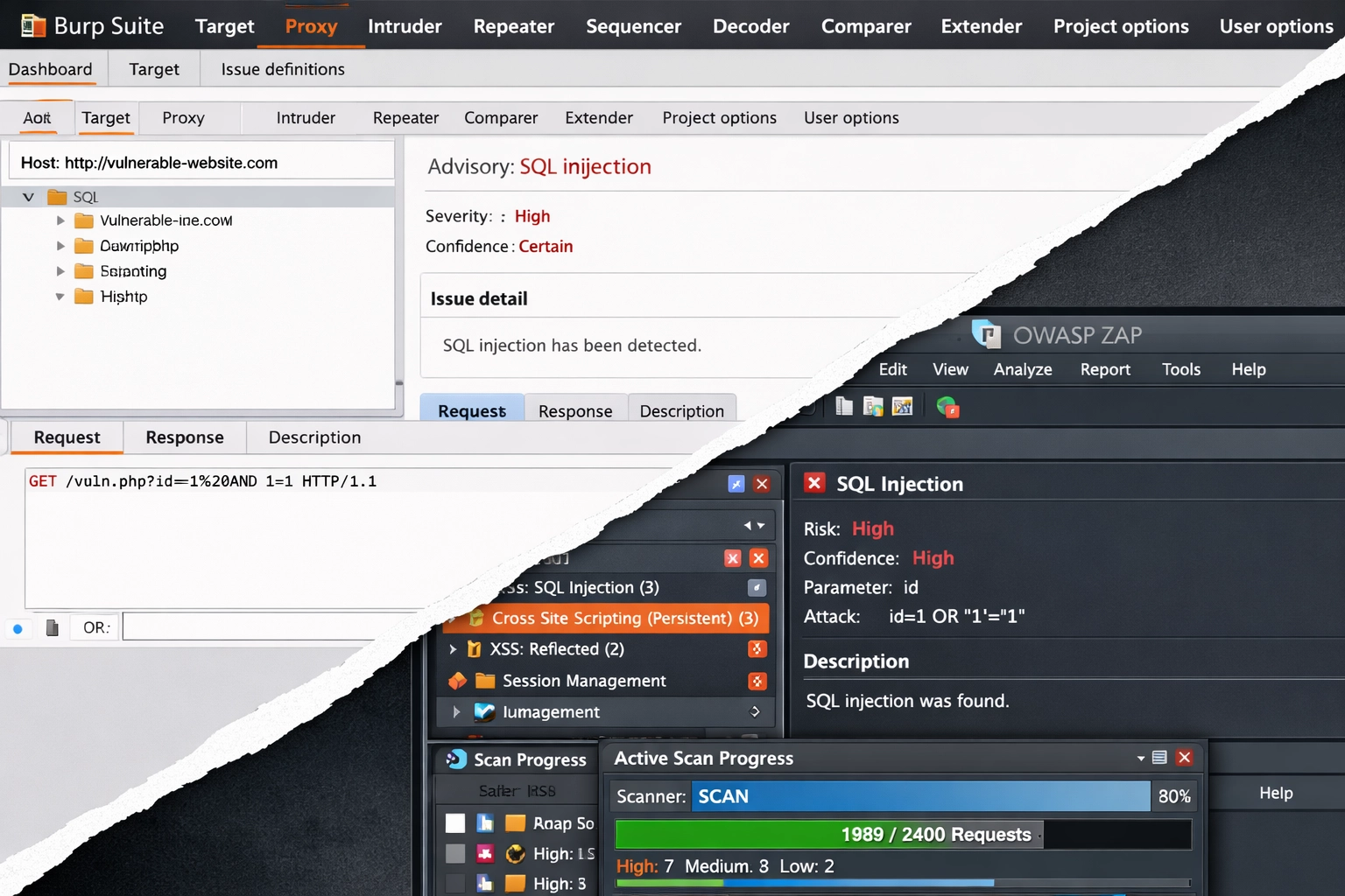 Web application security scan